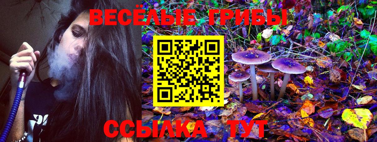 Псилоцибиновые грибы ЛСД  Псилоцибиновые грибы MAGIC MUSHROOMS  Вход с VPN  Рыбинск 