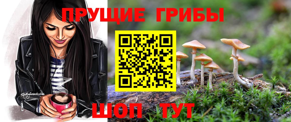Галлюциногенные грибы прущие грибы Рыбинск